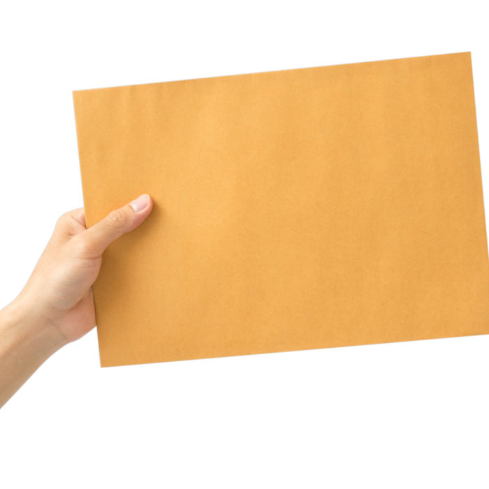 10 ) 9x12 Manilla Brown Kraft Clasp Catalog Envelopes Letters